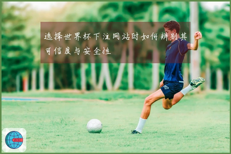 选择世界杯下注网站时如何辨别其可信度与安全性