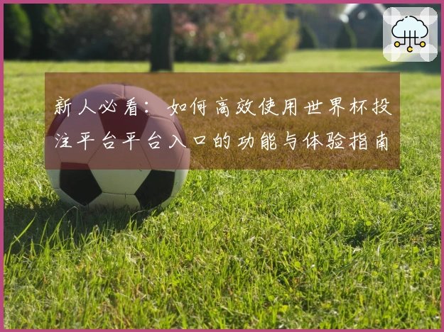 新人必看：如何高效使用世界杯投注平台平台入口的功能与体验指南