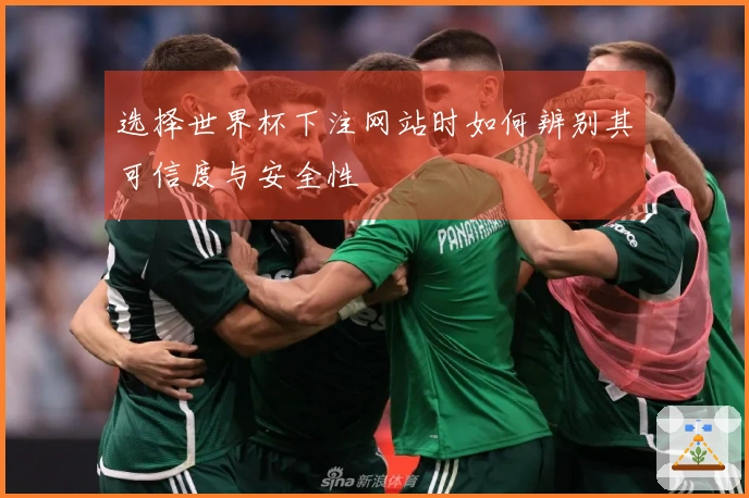 选择世界杯下注网站时如何辨别其可信度与安全性