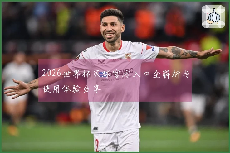 2026世界杯买球官方入口全解析与使用体验分享