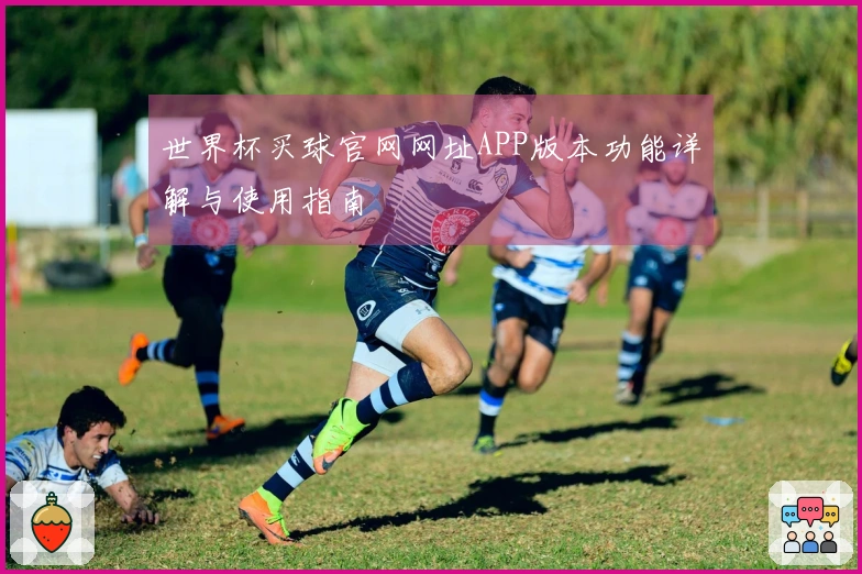 世界杯买球官网网址APP版本功能详解与使用指南