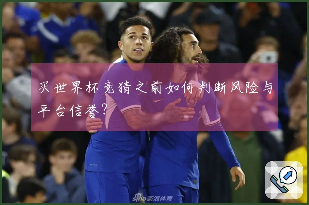 买世界杯竞猜之前如何判断风险与平台信誉？