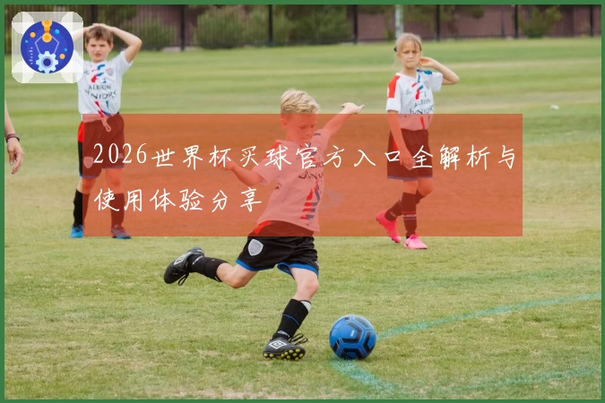 2026世界杯买球官方入口全解析与使用体验分享