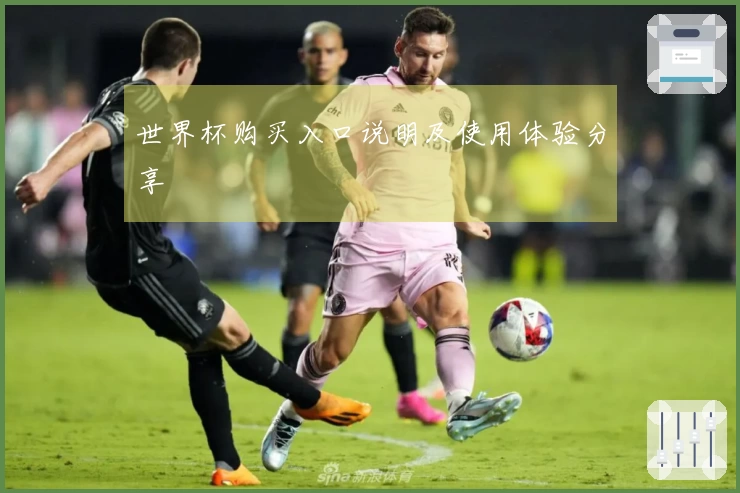 世界杯购买入口说明及使用体验分享