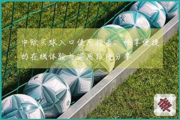 中欧买球入口使用指南：畅享便捷的在线体验与实用技巧分享