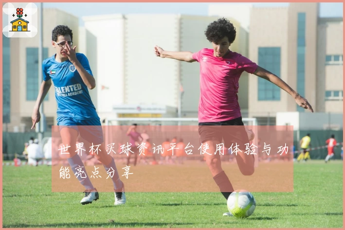 世界杯买球资讯平台使用体验与功能亮点分享