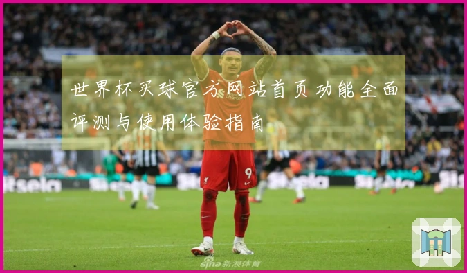世界杯买球官方网站首页功能全面评测与使用体验指南