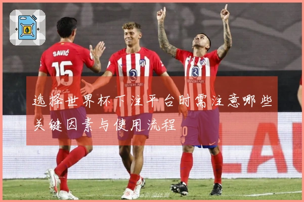 选择世界杯下注平台时需注意哪些关键因素与使用流程