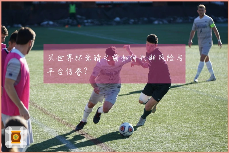 买世界杯竞猜之前如何判断风险与平台信誉？