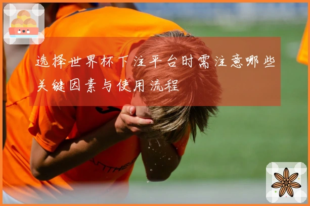选择世界杯下注平台时需注意哪些关键因素与使用流程