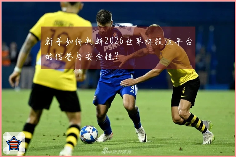 新手如何判断2026世界杯投注平台的信誉与安全性？
