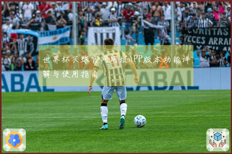 世界杯买球官网网址APP版本功能详解与使用指南