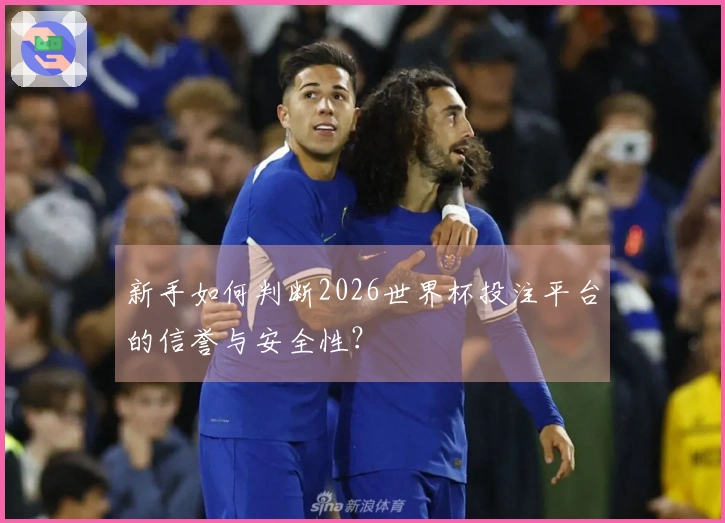 新手如何判断2026世界杯投注平台的信誉与安全性？